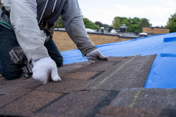 Best Roof Gutter Cleaning  in West Point, GA