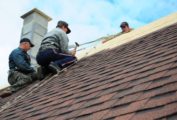 Best Roofing Contractor Near Me  in West Point, GA